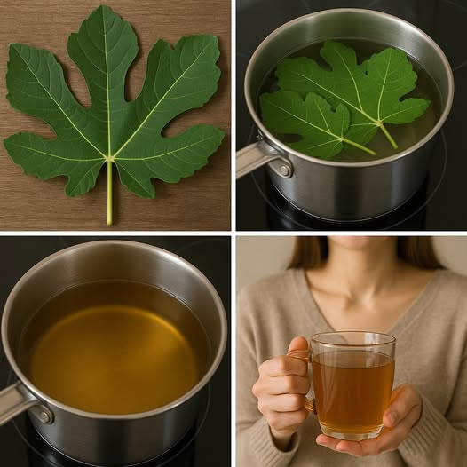 Fig Leaf Tea Benefits for Blood Sugar