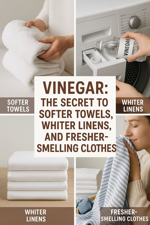 Vinegar: The Secret to Softer Towels, Whiter Linens, and Fresher-Smelling Clothes