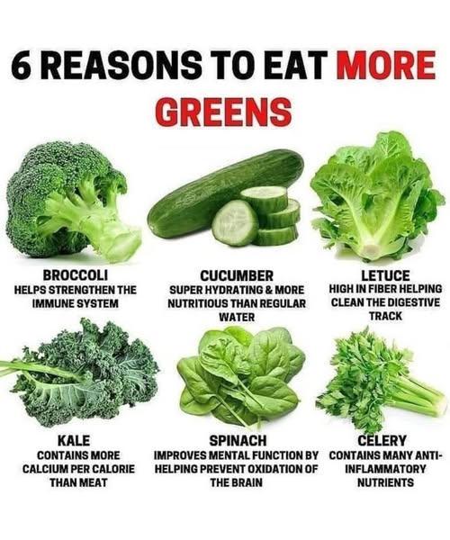 6 Reasons to Eat More Greens