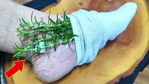 Discover the Benefits of Rosemary for Your Feet