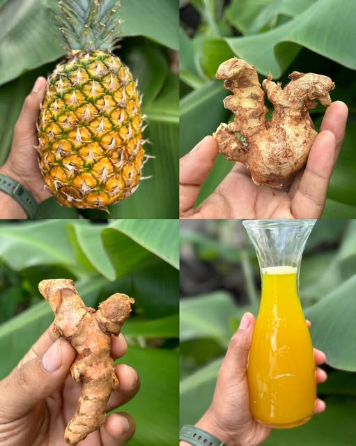 Ginger and Pineapple: Natural Remedies for Everyday Health