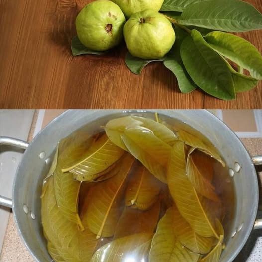 Powerful Home Remedy with Garlic, Turmeric, and Guava Leaves
