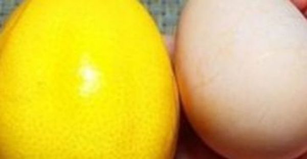 Lemon and Egg: Your Kitchen’s Secret for Glowing Skin and Hair