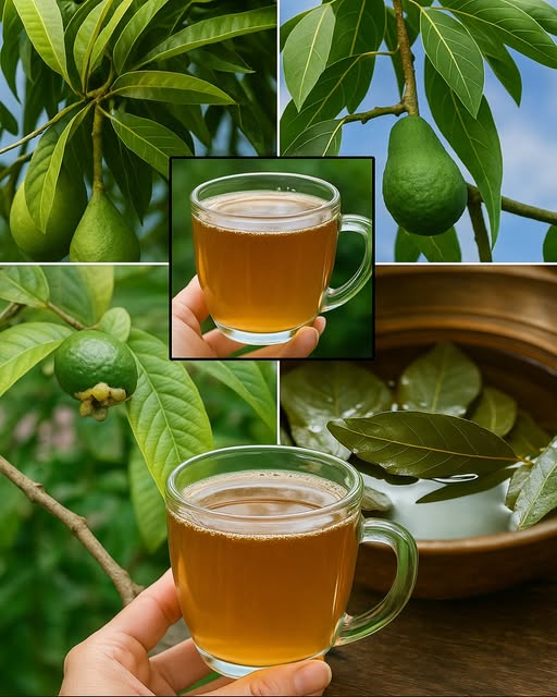 Healthy Teas: Your Natural Path to Wellness