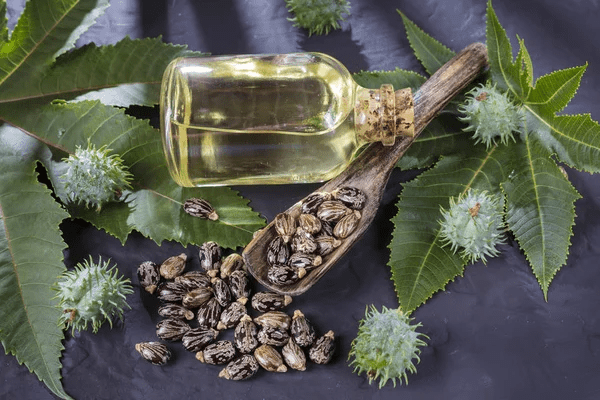 Benefits of Castor Oil