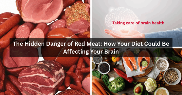 The Silent Threat in Your Sandwich: How Processed Red Meat Could Affect Your Brain